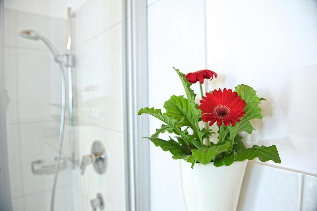 Greenhome Appartement Нидернзилль Номер фото